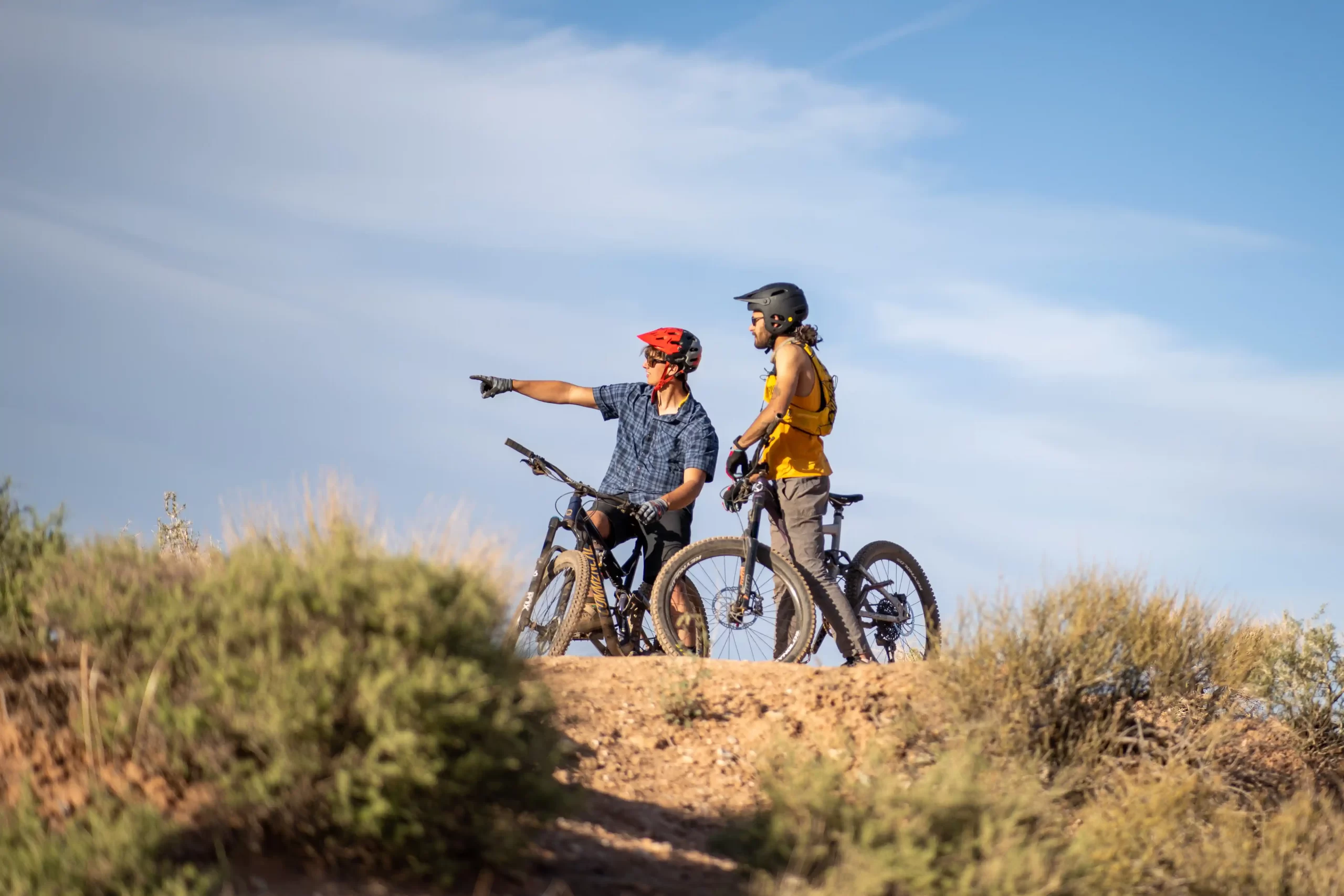 Wild Mesa Mountian Bike Guided Tour Full Day
